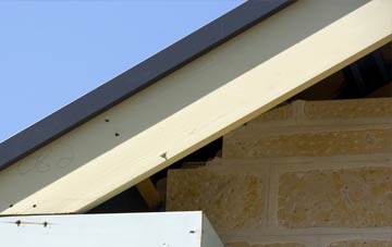 Earl Stonham fascia repairs
