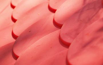 Earl Stonham plastic roof costs